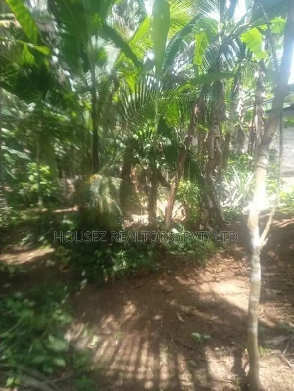 10 Perches Land for Sale – Dodangoda, Kalutara
