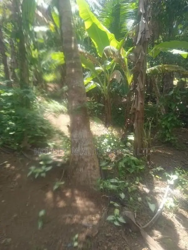 10 Perches Land for Sale – Dodangoda, Kalutara