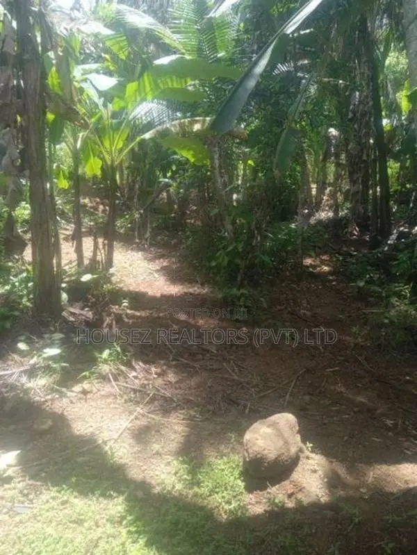10 Perches Land for Sale – Dodangoda, Kalutara