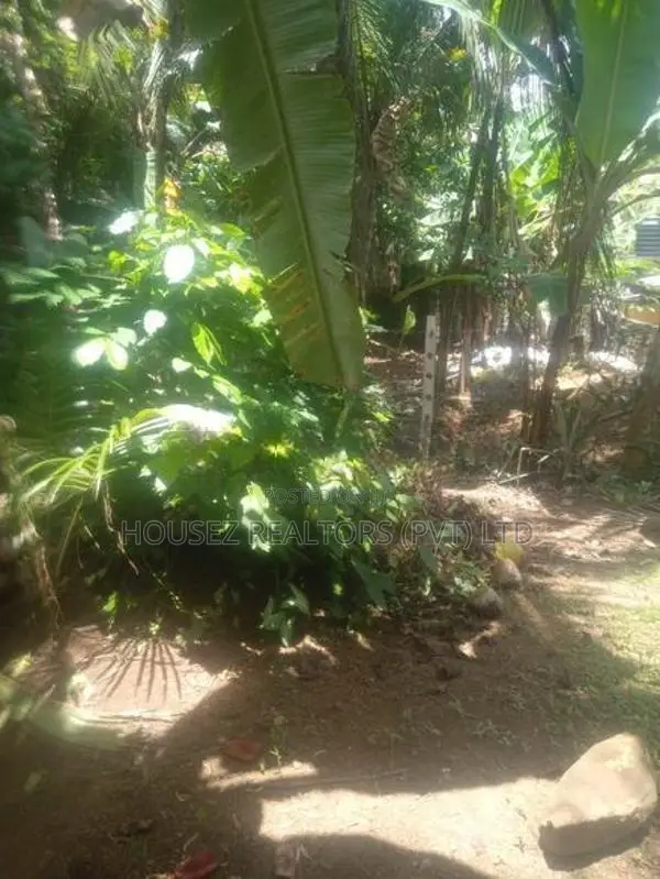 10 Perches Land for Sale – Dodangoda, Kalutara