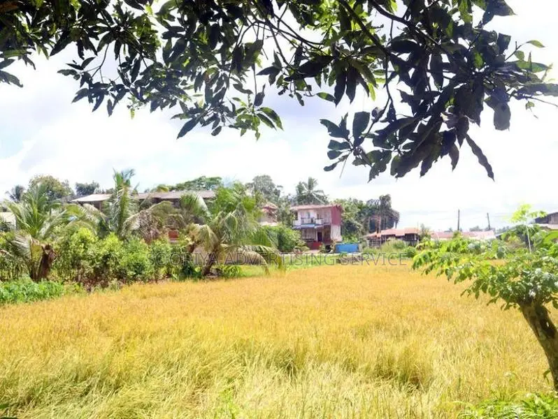 Spacious Family Property in a Peaceful Environment