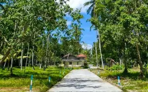 මිනුවන්ගොඩ බල්ලපානෙන් නේවාසික බිම්කොටස්