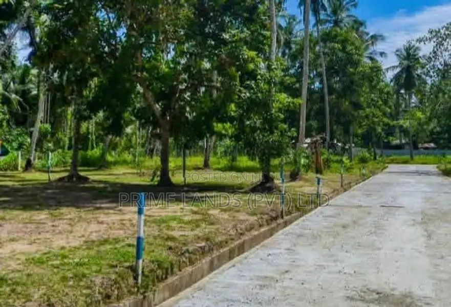 මිනුවන්ගොඩ බල්ලපානෙන් නේවාසික බිම්කොටස්
