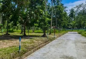 Lands for Sale in Ballapana