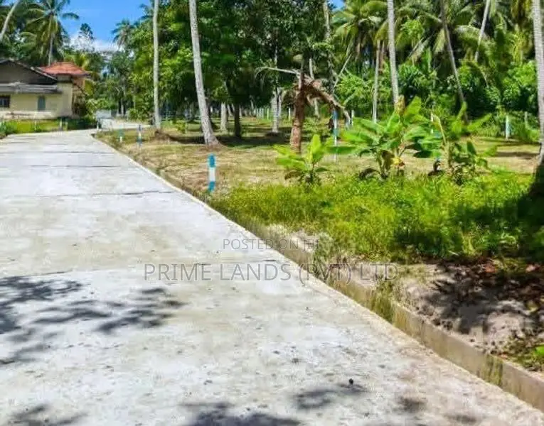 Lands for Sale in Ballapana