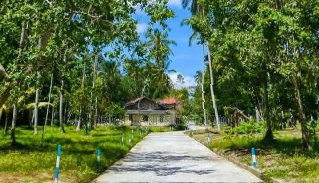 Lands for Sale in Ballapana