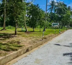 Lands for Sale in Ballapana