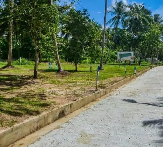 Lands for Sale in Ballapana