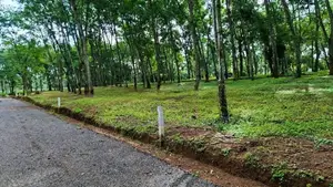 Land for Sale in Diulapitiya Walpita