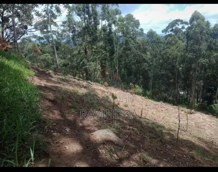 Land For Sale Boralanda