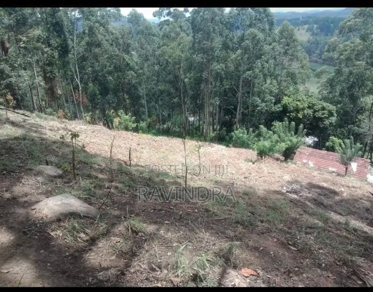 Land For Sale Boralanda