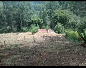 Land For Sale Boralanda
