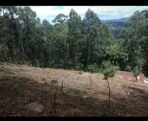 Land For Sale Boralanda