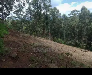 Land For Sale Boralanda