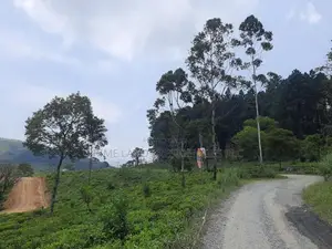 Mountain view land for sale in Ramboda