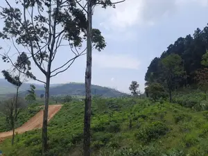 Mountain view land for sale in Ramboda