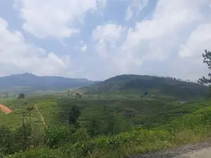 Mountain view land for sale in Ramboda