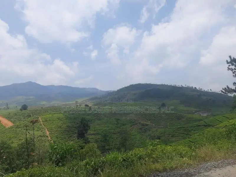 Mountain view land for sale in Ramboda