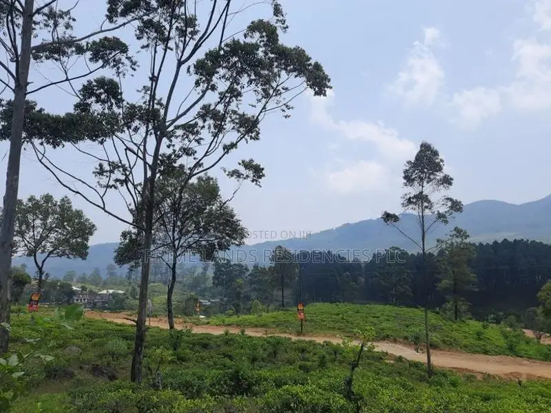 Mountain view land for sale in Ramboda