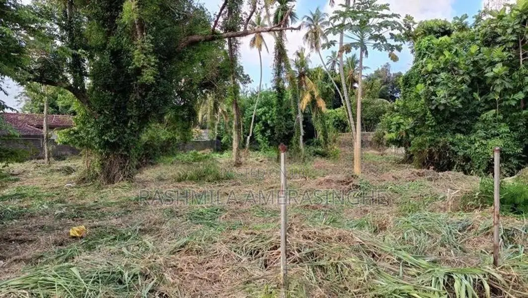 Commercial Land for Rent Nawala