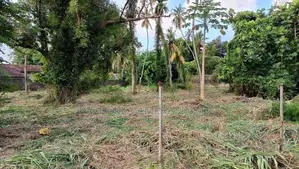Commercial Land for Rent Nawala