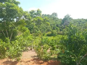 Lands for Sale in Ambalangoda