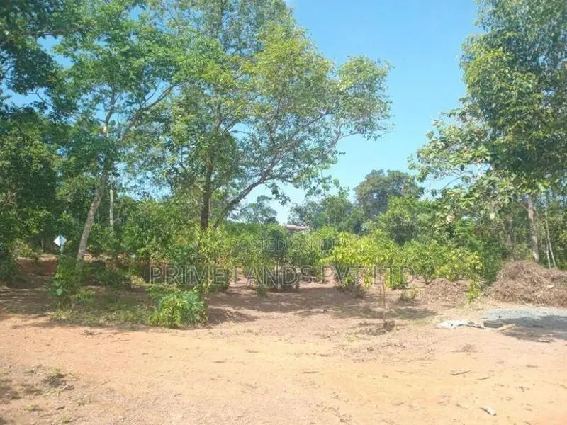 Lands for Sale in Ambalangoda City