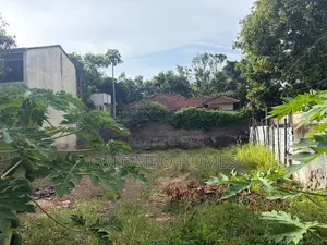 18 Perches Land for Sale with An Old House - Dehiwala