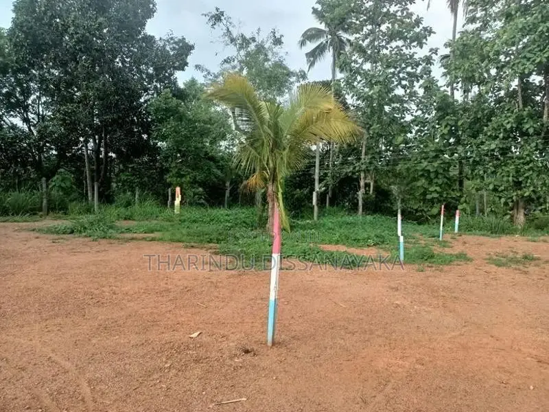 Land in Kalagedihena Plot 01
