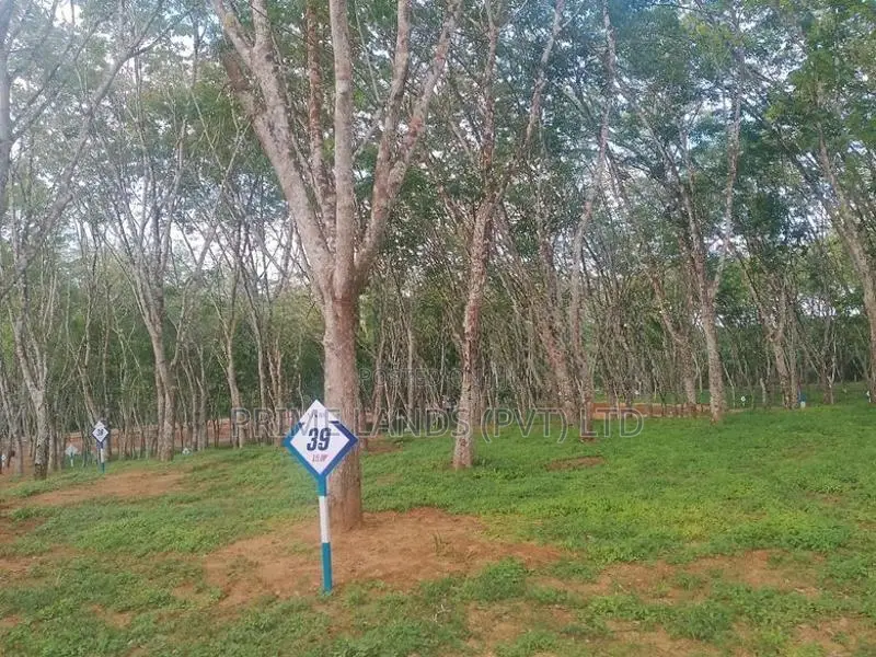 Land for Sale Ahangama