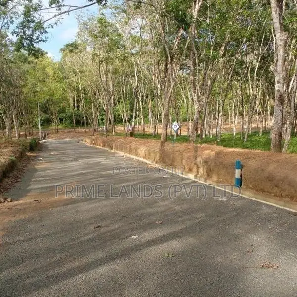 Land for Sale Ahangama