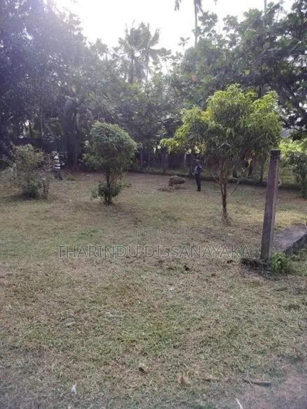 Land in Kadawatha City Plot 13
