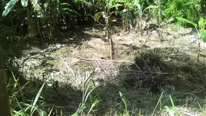 Flat Land in Kiribathdumbura for Sale