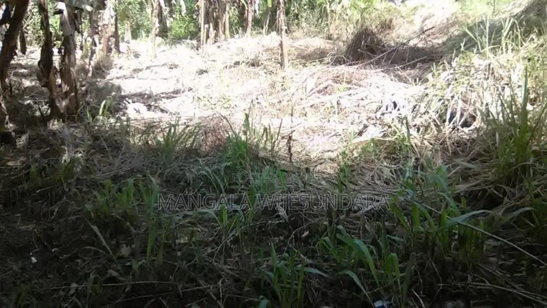 Flat Land in Kiribathdumbura for Sale