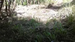 Flat Land in Kiribathdumbura for Sale