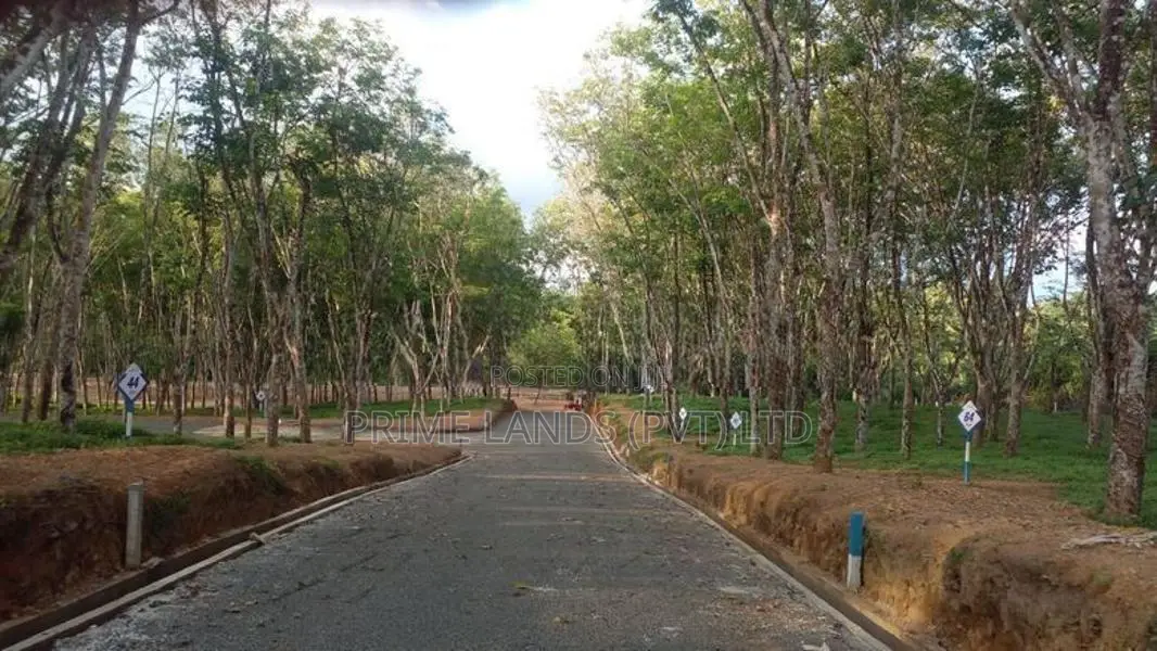 අහංගමින් බිම් කොටස්