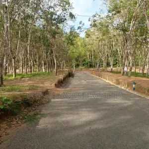 අහංගමින් බිම් කොටස්
