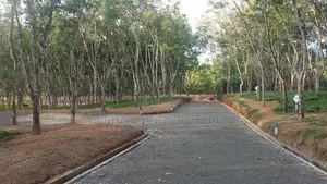 අහංගමින් බිම් කොටස්