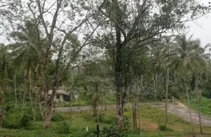 හබරාදුව සංචාරක කලාපයට ආසන්නව ඉඩම්