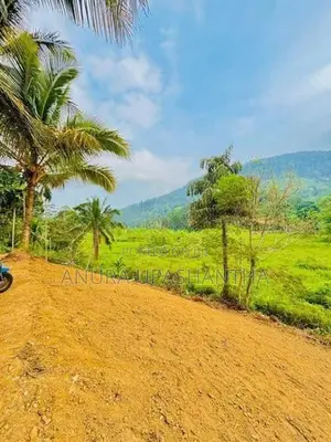 Land for Sale in Deniyaya