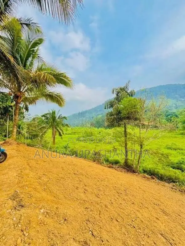 Land for Sale in Deniyaya