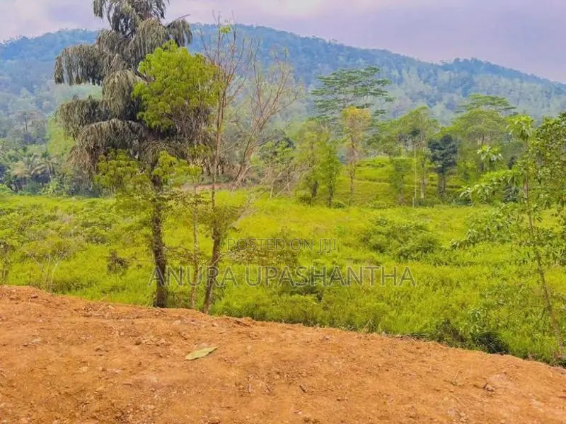 Land for Sale in Deniyaya