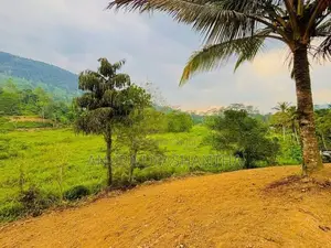Land for Sale in Deniyaya