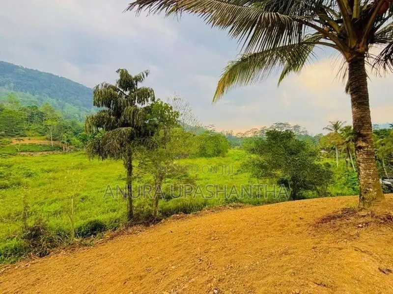 Land for Sale in Deniyaya