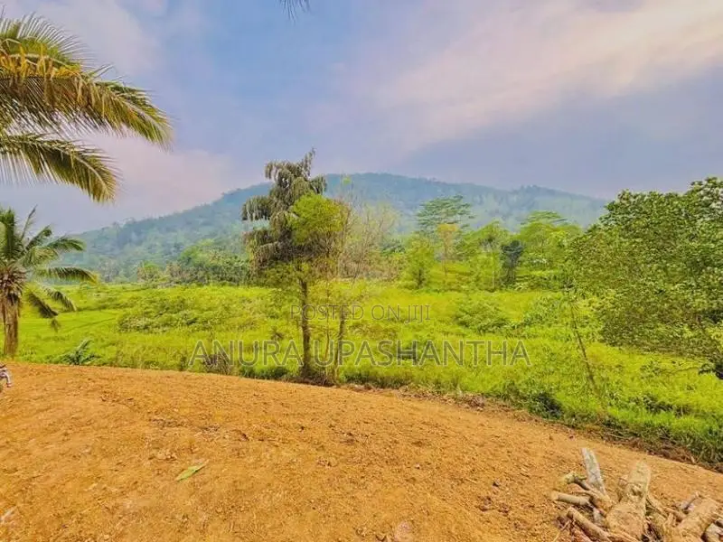 Land for Sale in Deniyaya