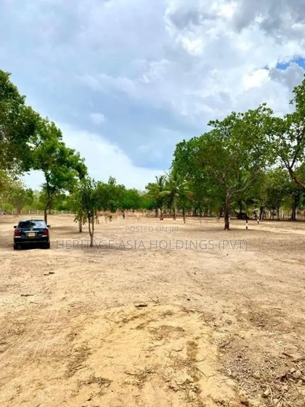 Land for sale Anuradapura