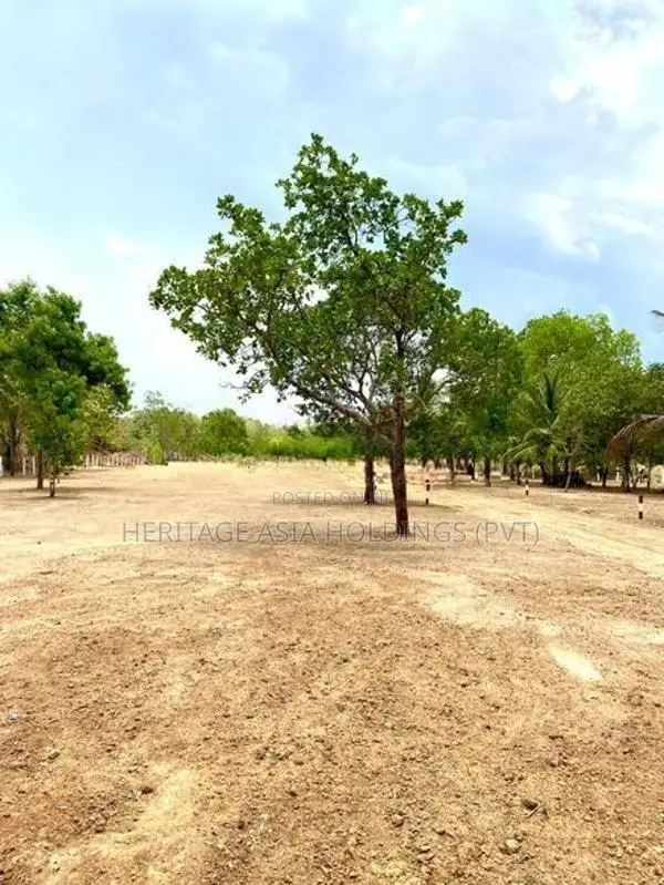 අනුරාධපුර පූජා භූමියට ළගින්ම පදිංචියට ඉඩමක්