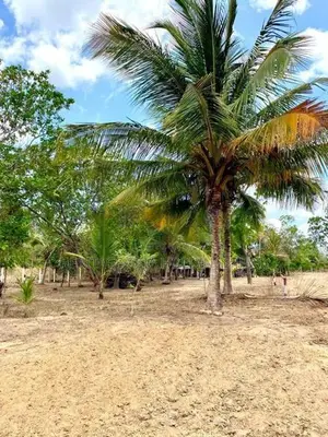 අනුරාධපුර පූජා නගරය සමීපයෙන් පදිංචියට ඉඩමක්