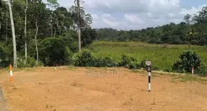 Land For Sale – Baddegama