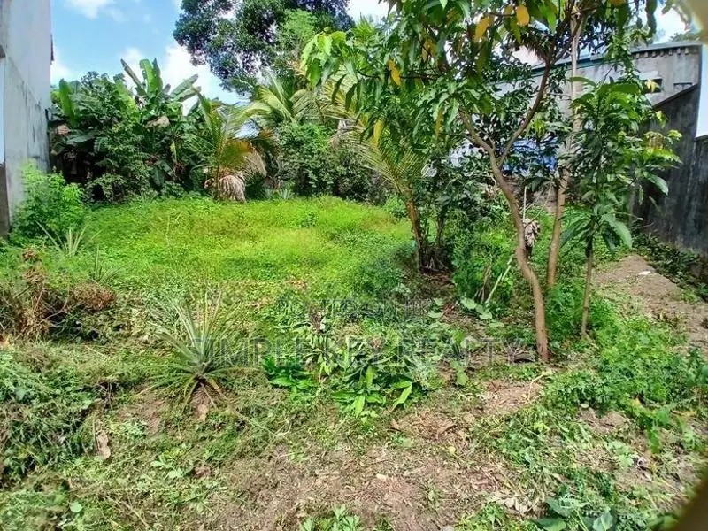 Land for Sale in Gampaha Yakkala